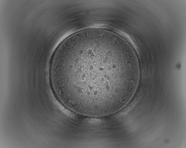 X0000091491235200708161432