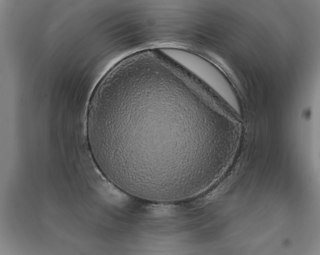 X0000091491236200708161432