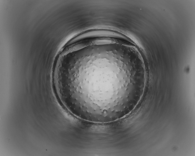 X0000091491237200708161432