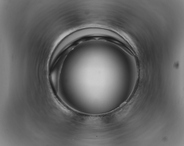 X0000091491238200708161432