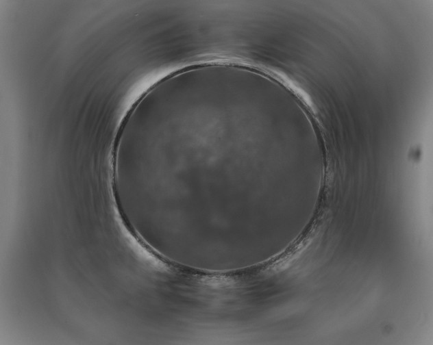 X0000091491239200708161432