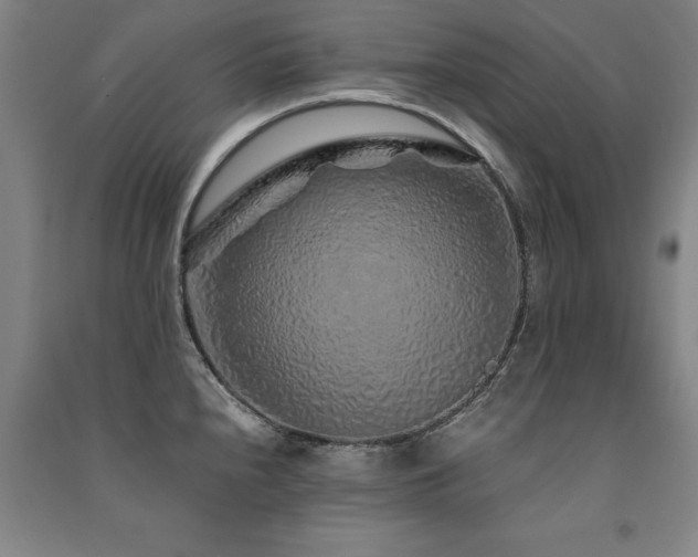 X0000091491240200708161432