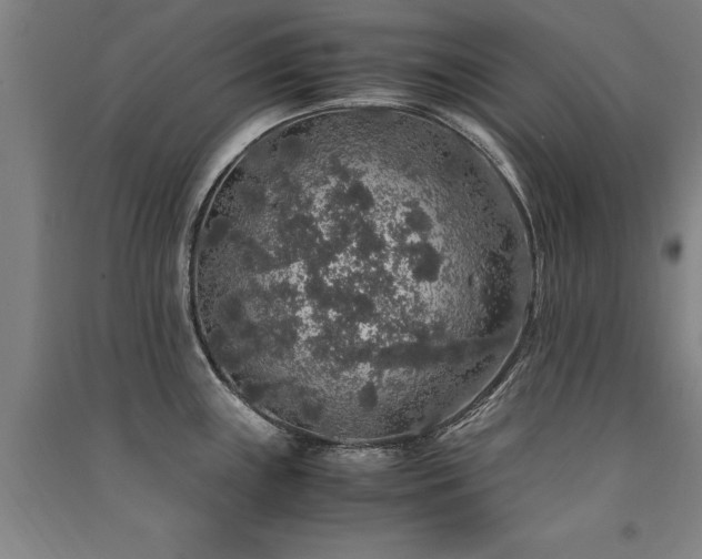 X0000091491243200708161432