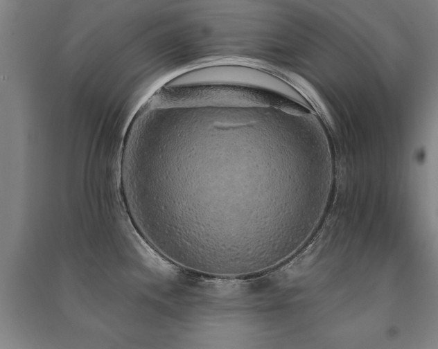 X0000091491244200708161432