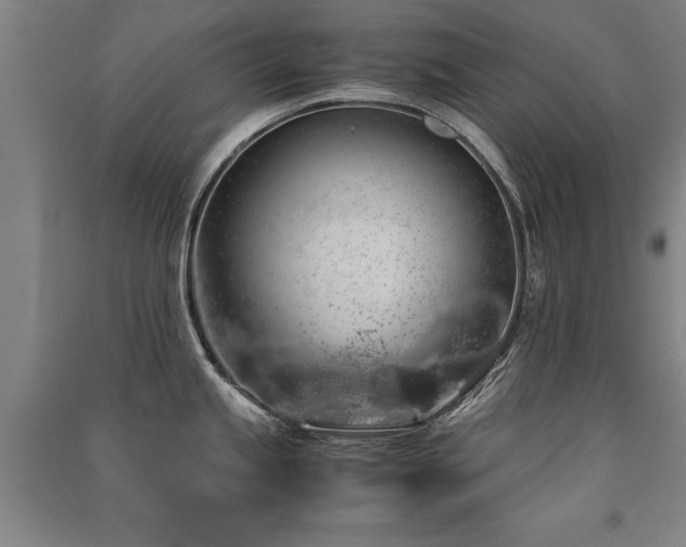 X0000091491245200708161432