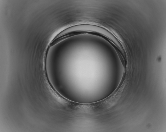 X0000091491246200708161432