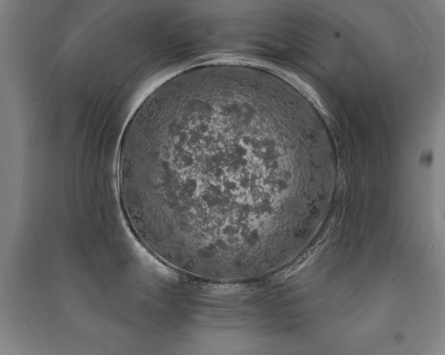 X0000091491247200708161432