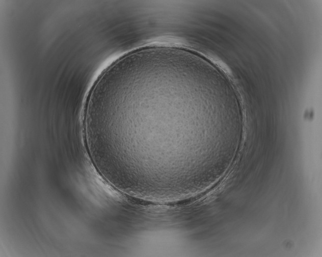 X0000091491248200708161432