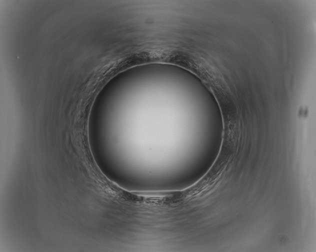 X0000091491249200708161432