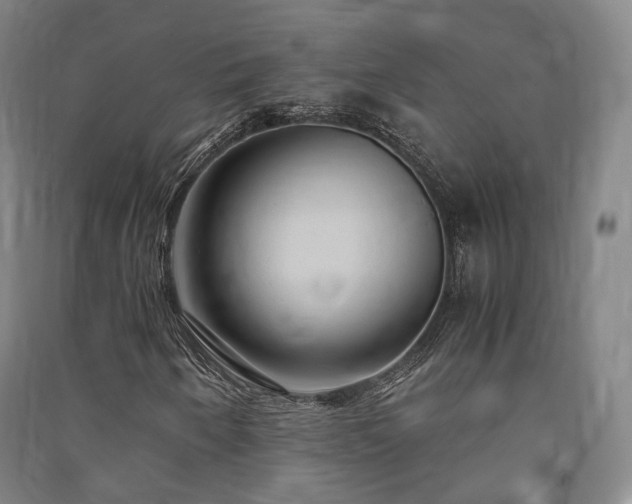 X0000091491250200708161432