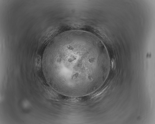 X0000091491251200708161432