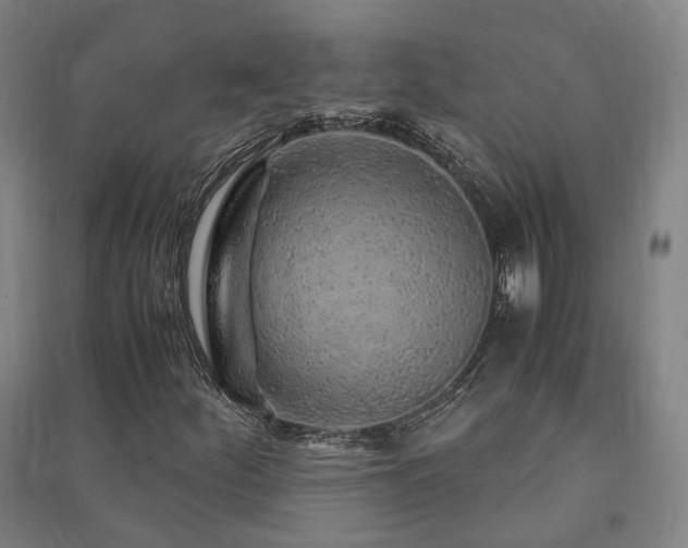 X0000091491252200708161432