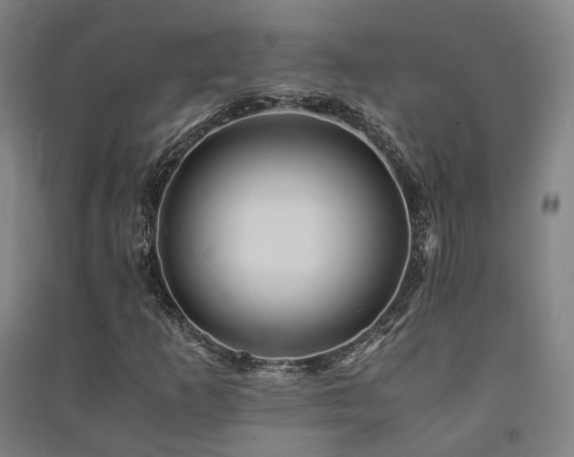X0000091491253200708161432