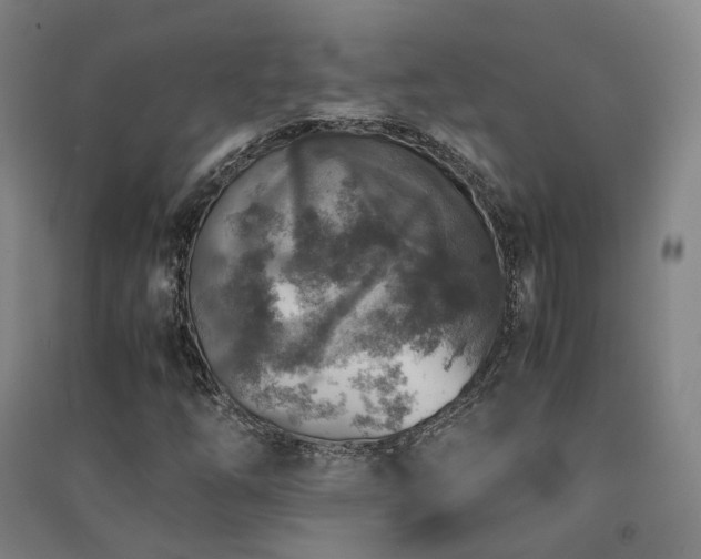 X0000091491254200708161432