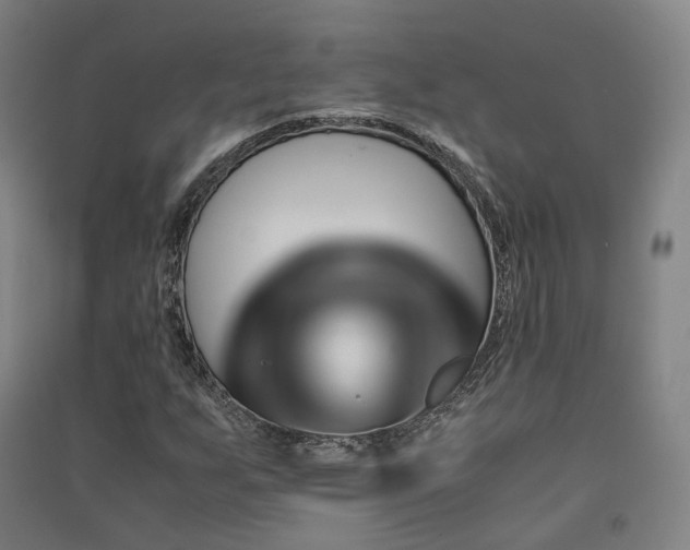 X0000091491255200708161431