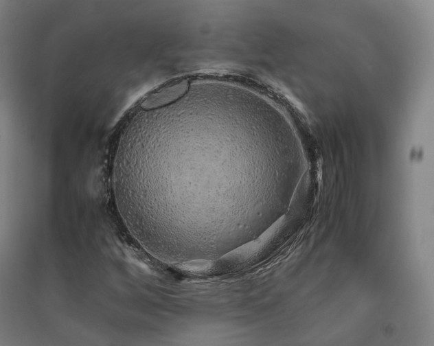 X0000091491256200708161431