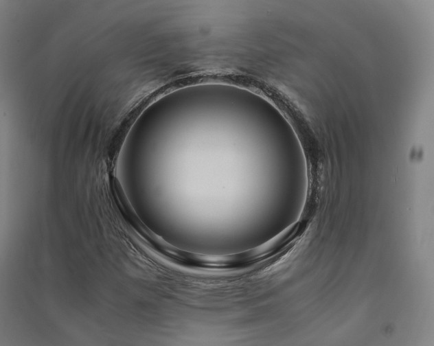 X0000091491257200708161431