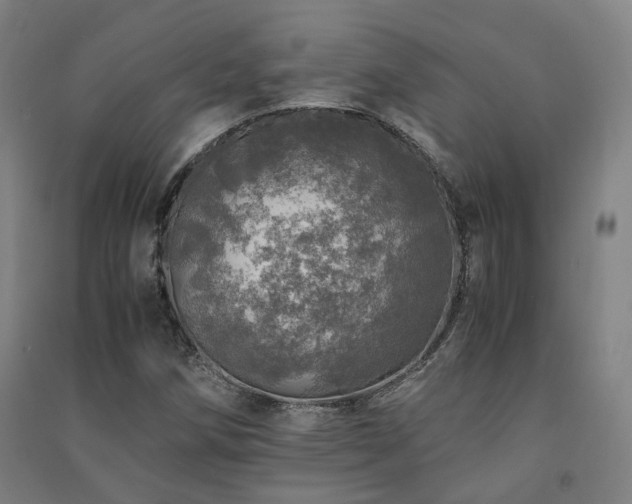 X0000091491258200708161431