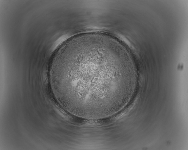 X0000091491259200708161431