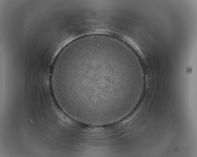 X0000091491260200708161431