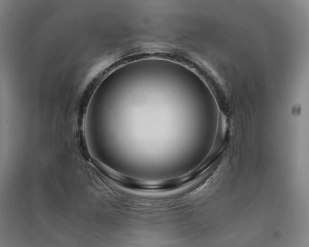 X0000091491261200708161431
