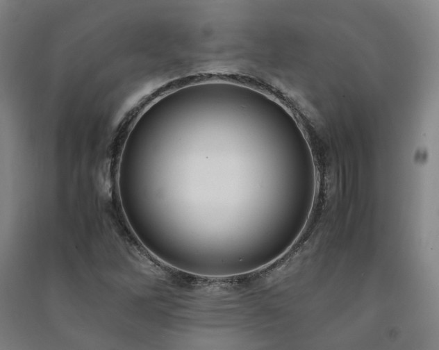 X0000091491262200708161431