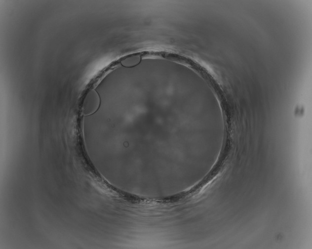 X0000091491263200708161431