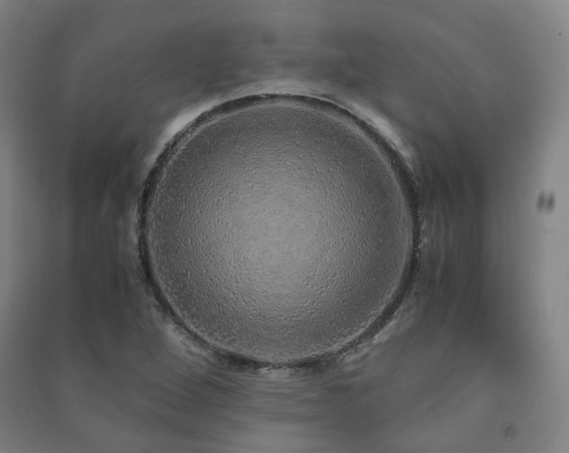 X0000091491264200708161431