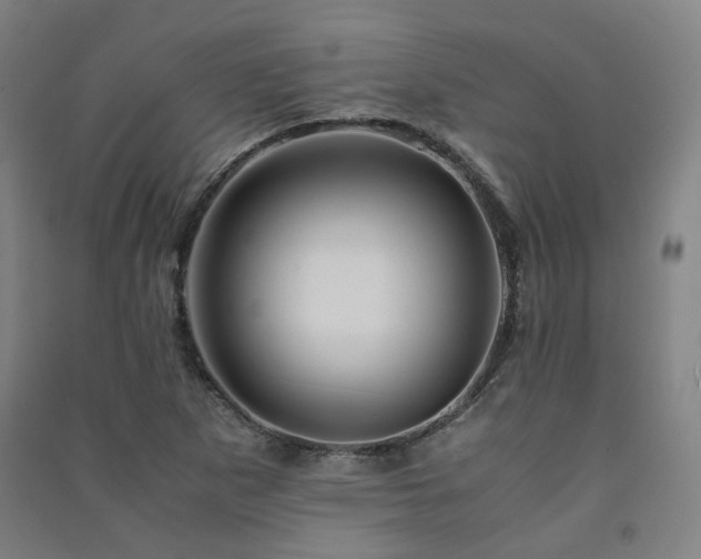 X0000091491265200708161431