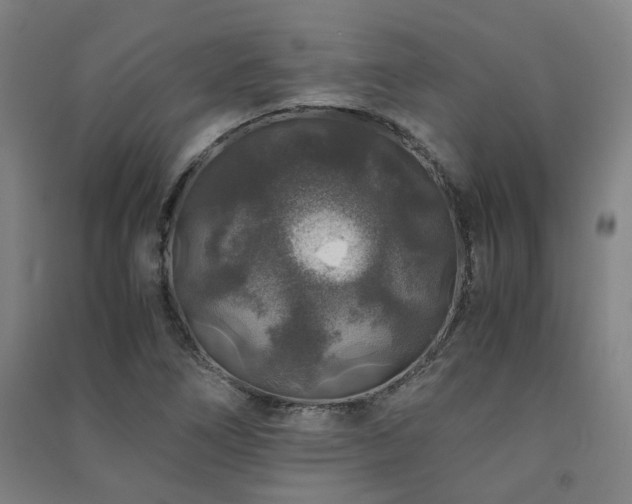 X0000091491266200708161431