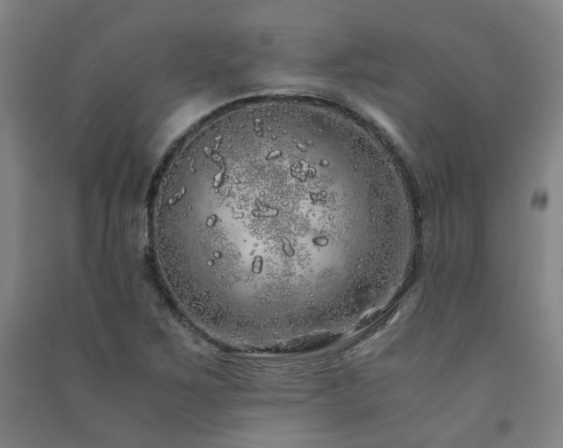 X0000091491267200708161431