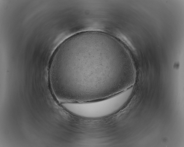X0000091491268200708161431