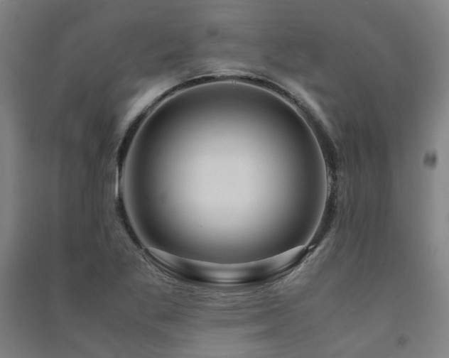 X0000091491269200708161431