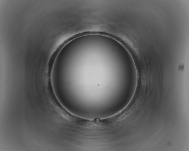 X0000091491270200708161431