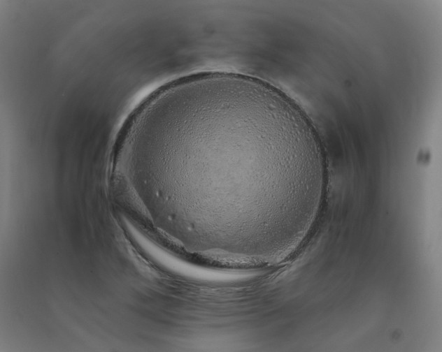 X0000091491272200708161431