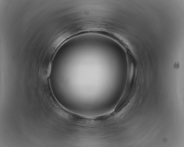 X0000091491273200708161431