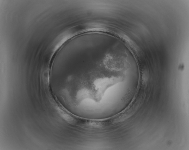 X0000091491274200708161431