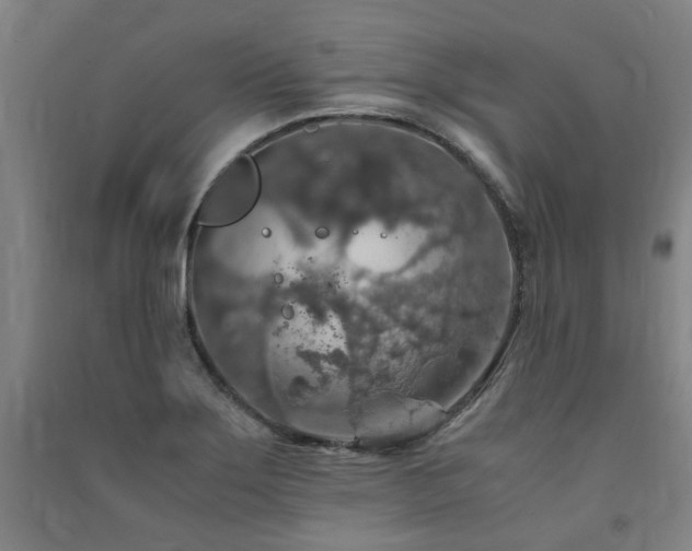 X0000091491275200708161431