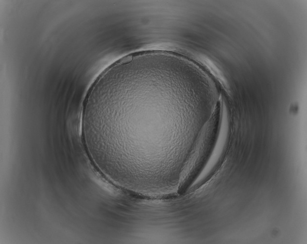 X0000091491276200708161431