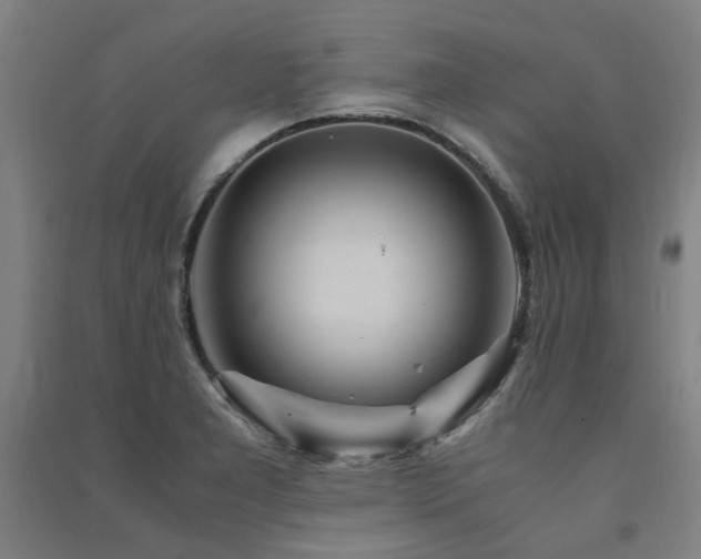 X0000091491277200708161431