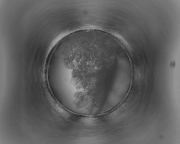 X0000091491278200708161431
