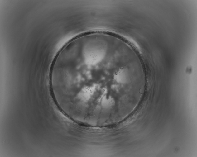 X0000091491279200708161431