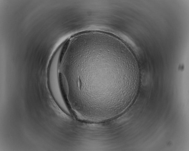 X0000091491280200708161431