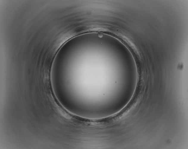 X0000091491281200708161431