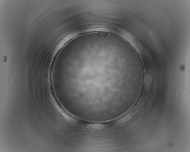 X0000091491282200708161431