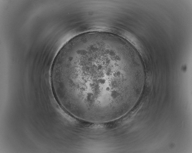 X0000091491283200708161431