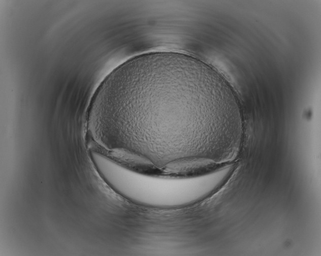 X0000091491284200708161431