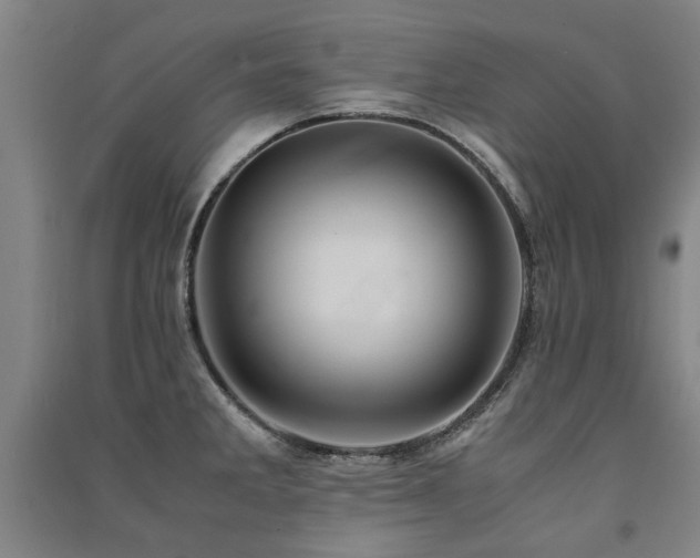 X0000091491285200708161431