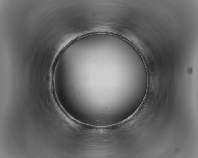 X0000091491286200708161431