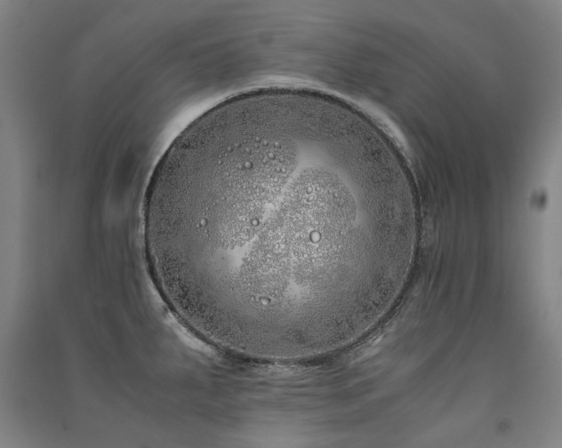 X0000091491287200708161431